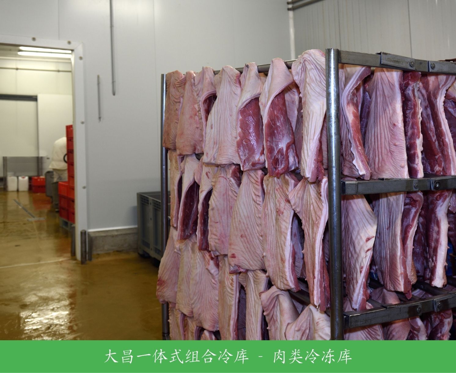 Dachang-meat-freezer-001