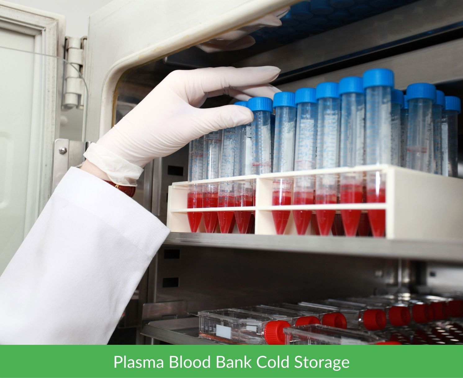 Plasma Blood Bank Cold Storage