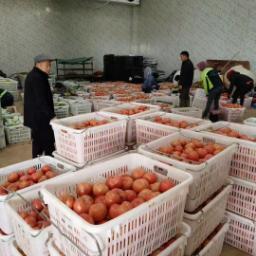 重慶江津塑料圓眼花椒筐廠家直銷