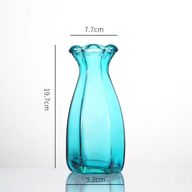 Transparent Glass Flower Vase for Home Decor