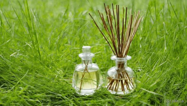 Brakula reed diffusers