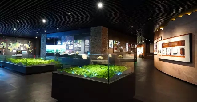 湖北黄冈大别山地质博物馆今日成功开馆