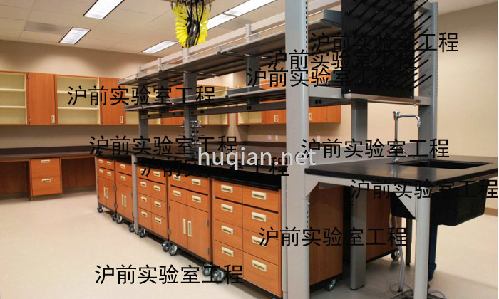 沪前不仅能设计全钢木通风柜还可以设计钢木实验台 沪前不仅能设计全钢木通风柜还可以设计钢木实验台