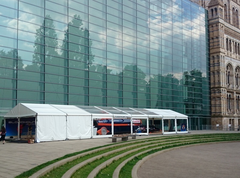 Big mixed Tent for exhibitation