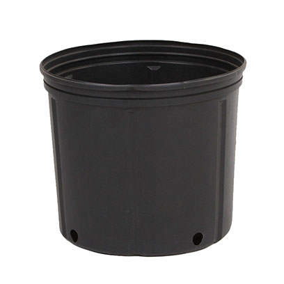 Bulk Buy 2 Gallon Nursery Trade Pots