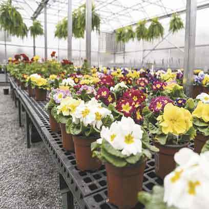 Large Round Plastic Plant Pots Wholesale Cyprus