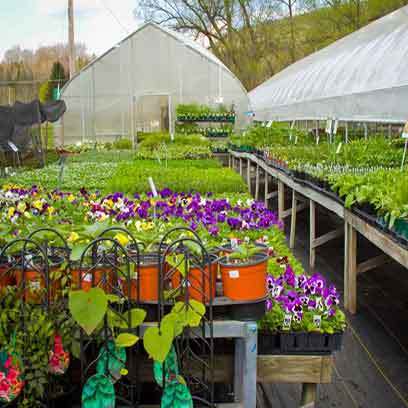 Cheap Nursery Plant Containers Wholesale