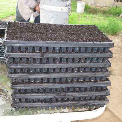 Soil Block Propagation Trays Wholesale Kenya
