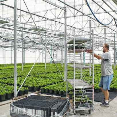 Shallow Black Germination Trays Wholesale Malaysia