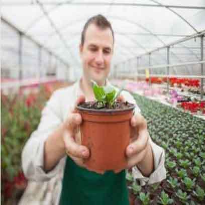 Cheap Small Plastic Seedling Pots In Bulk South Africa