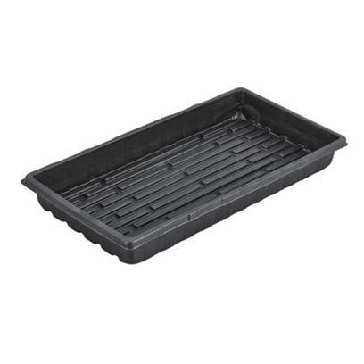 Best Shallow Microgreen Germination Trays