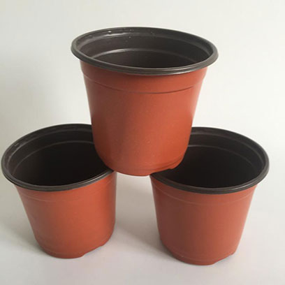 Cheap 12 cm Plastic Plant Pots Wholesale Price