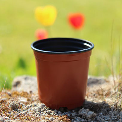 pots bulk plastic inch purchase plant