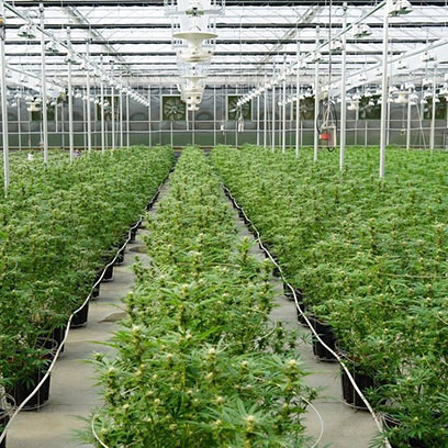Plastic 15 Gallon Garden Pot Wholesale Price Canada