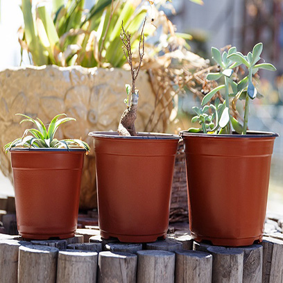 Cheap 4 Inch Plastic Plant Pots Wholesale Australia