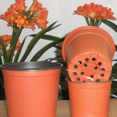Teku Plastic Nursery Pots Wholesale Suppliers Poland