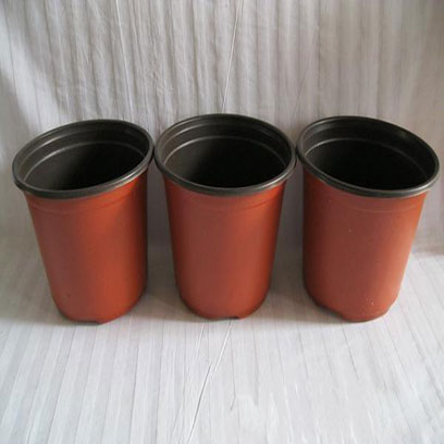 Cheap Plastic V11 Nursery Pots Manufacturers Germany