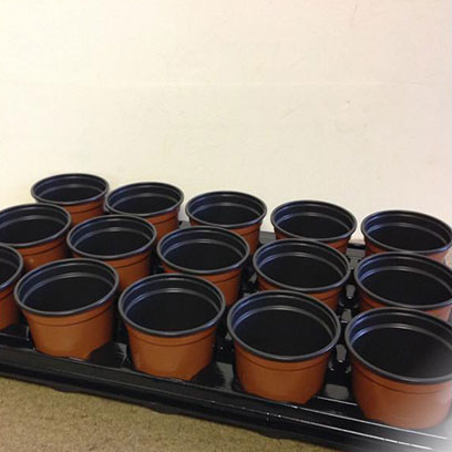 Plastic Flower Pots Wholesale Wilson Garden