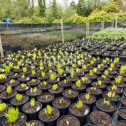 Cheap Plastic 7 Gallon Pots Manufacturers USA