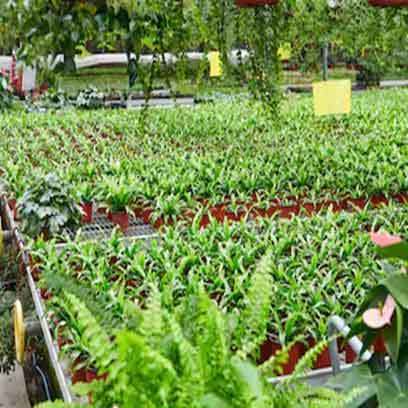 Cheap Plastic Garden Pots In Bulk Philippines