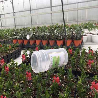 Plastic 230 mm Grower Pots Wholesale Supplier