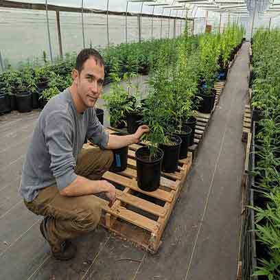 Cheap 3 Gal Plastic Nursery Pots Manufacturer