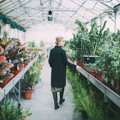 Cheap Large Plastic Plant Pots For Trees UK