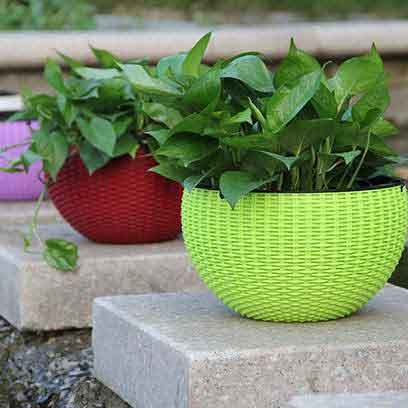 Green Plastic Hanging Baskets Suppliers In China