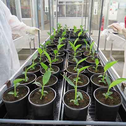 Cheap Plastic Nursery Containers Manufacturers In China